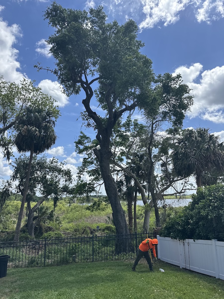 7 Oaks LLC work