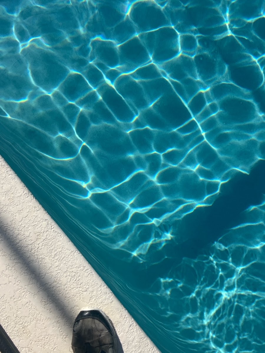 A&B Pool and Spa's work
