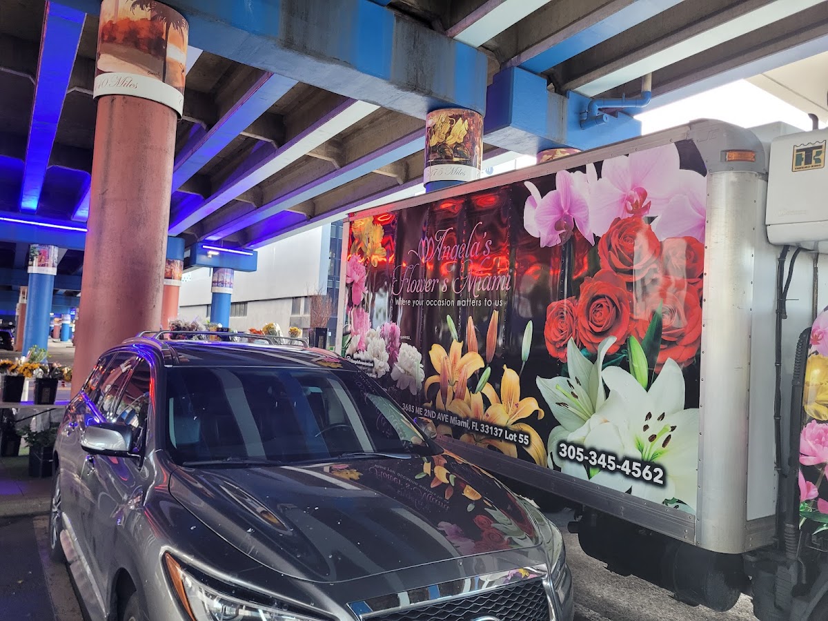 Angela's Flower's Miami work