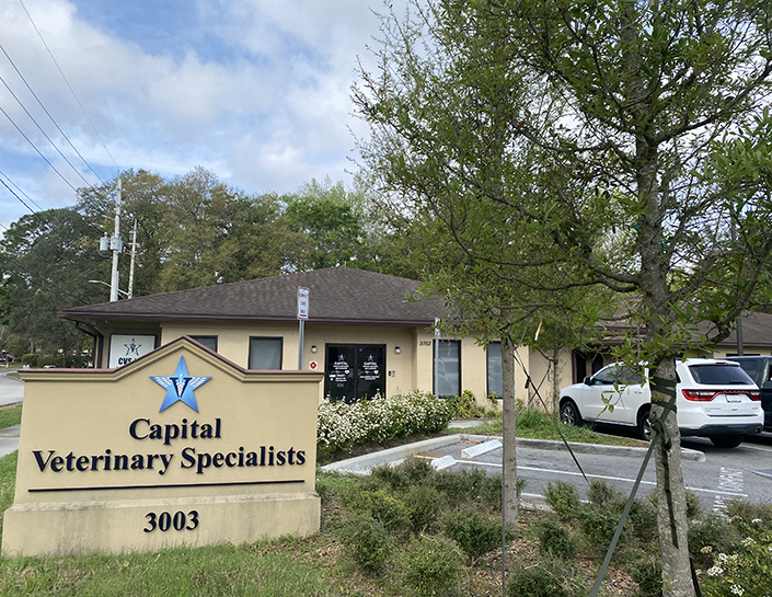 Capital Veterinary Specialists, Jax work