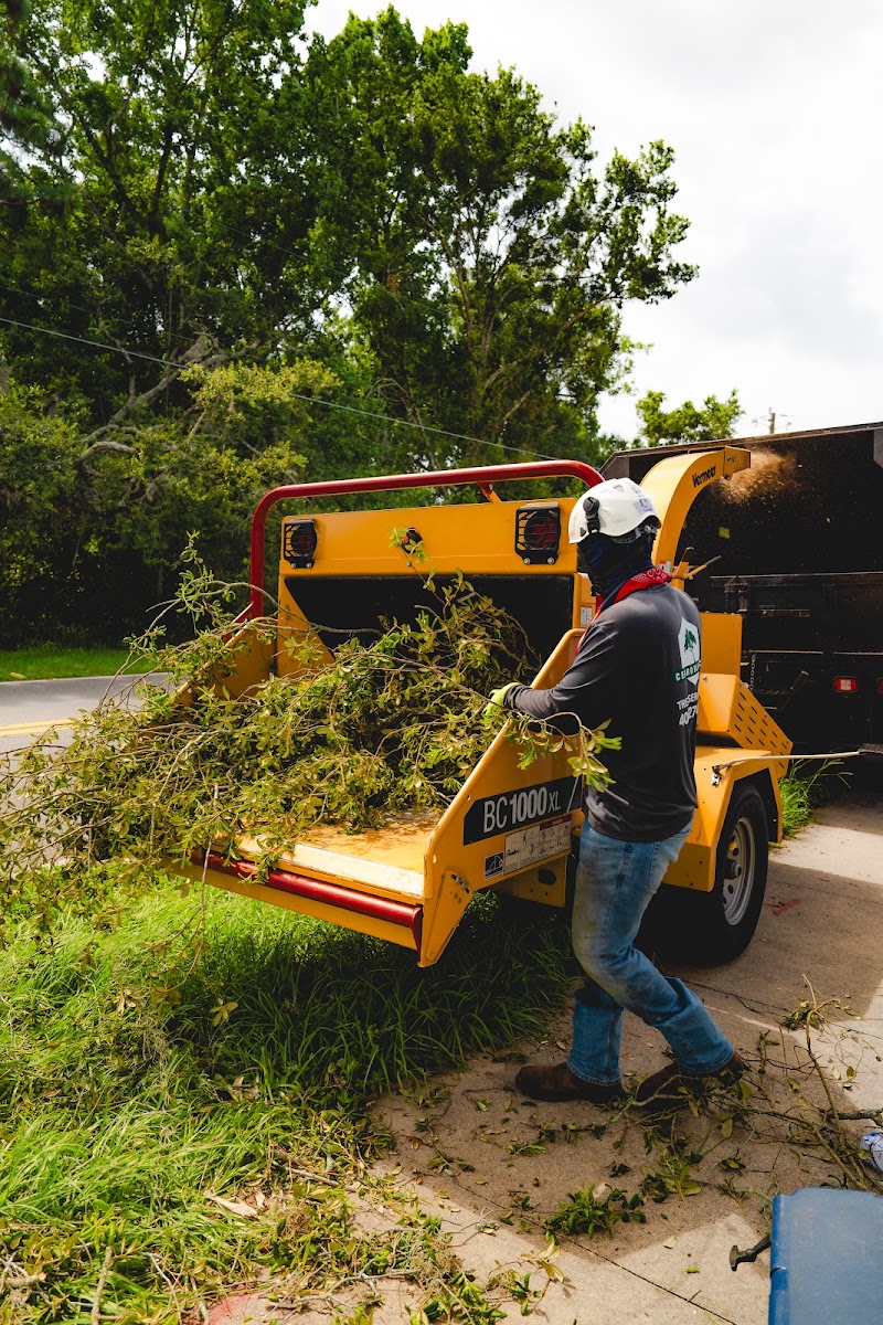 Cerroblanco Tree Service LLC work