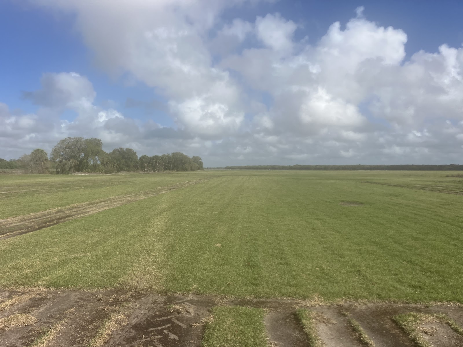 Clermont Sod & Irrigation work