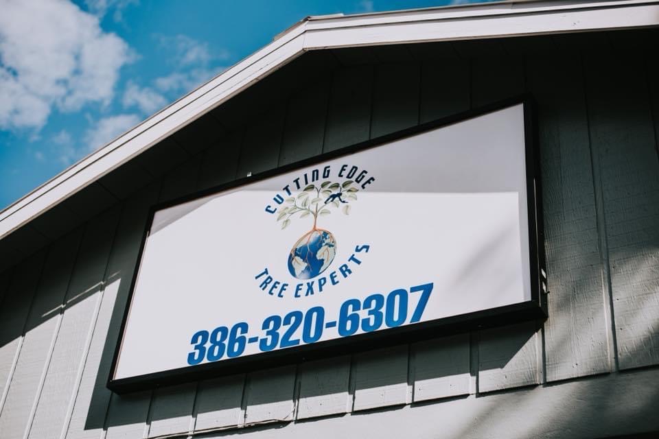 Cutting Edge Tree Experts work