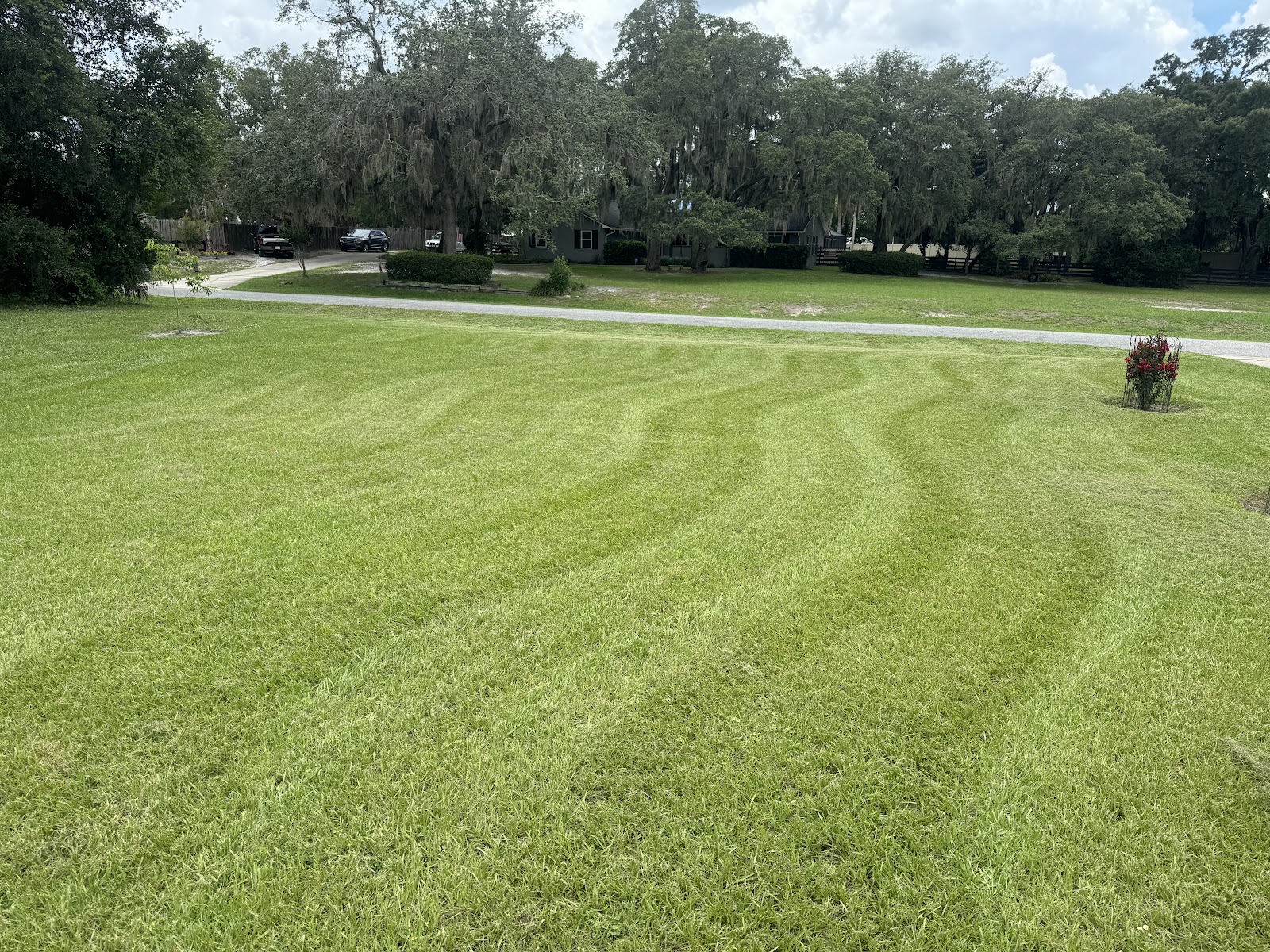 Elegant Edges LLC work
