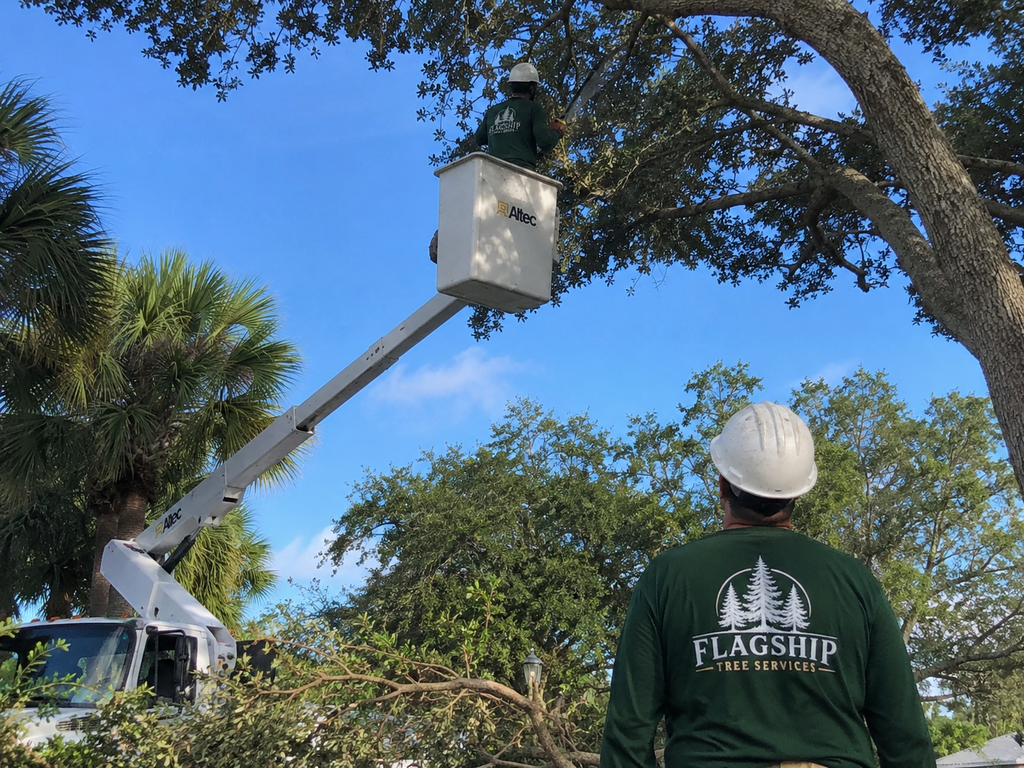Flagship Tree Services work