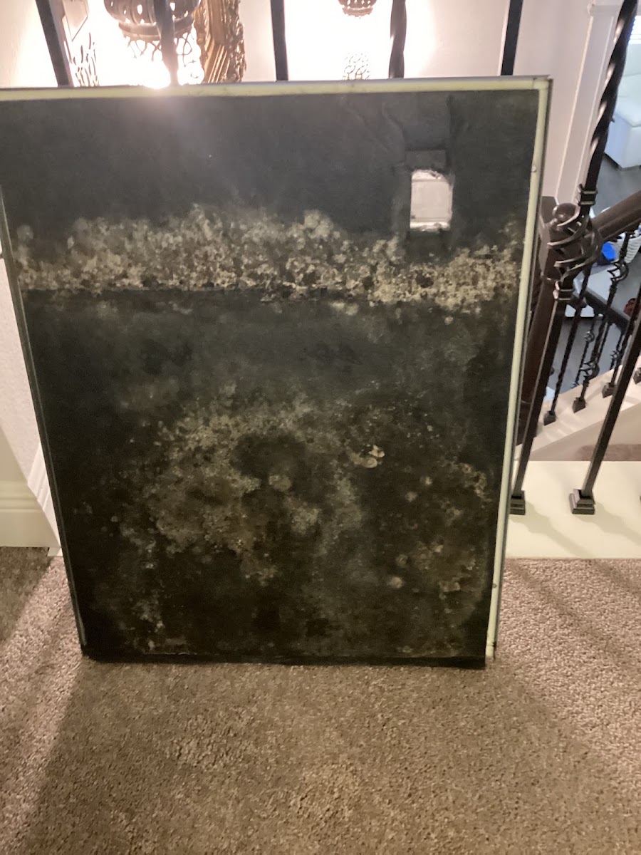 Florida AC Professionals work