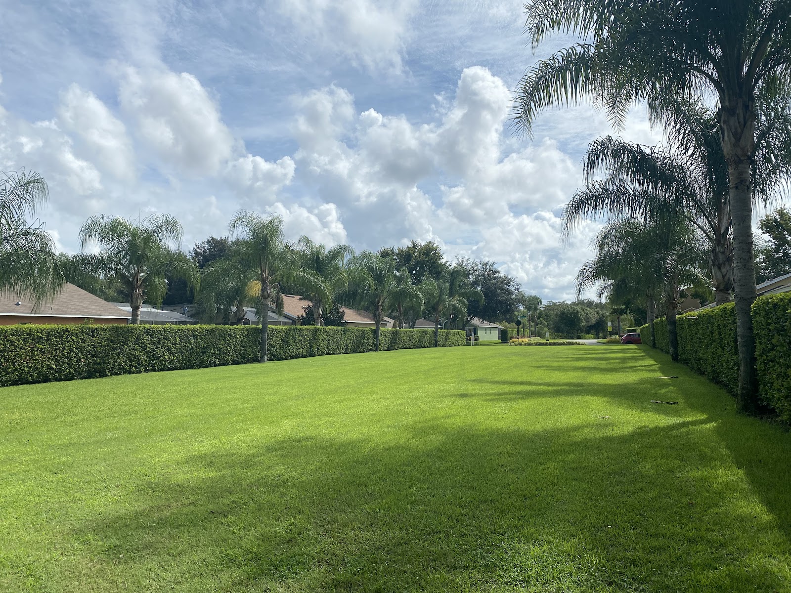 Florida Landscape Professionals, Inc. work