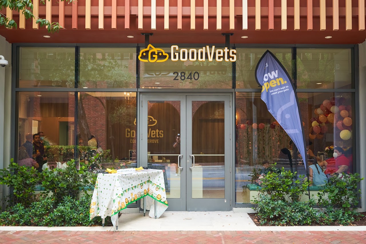 GoodVets Coconut Grove work