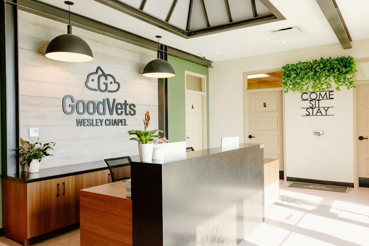 GoodVets Wesley Chapel work