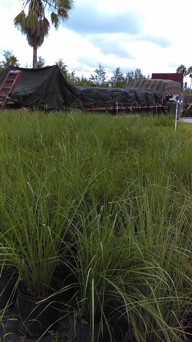 Greenbriar Landscape work