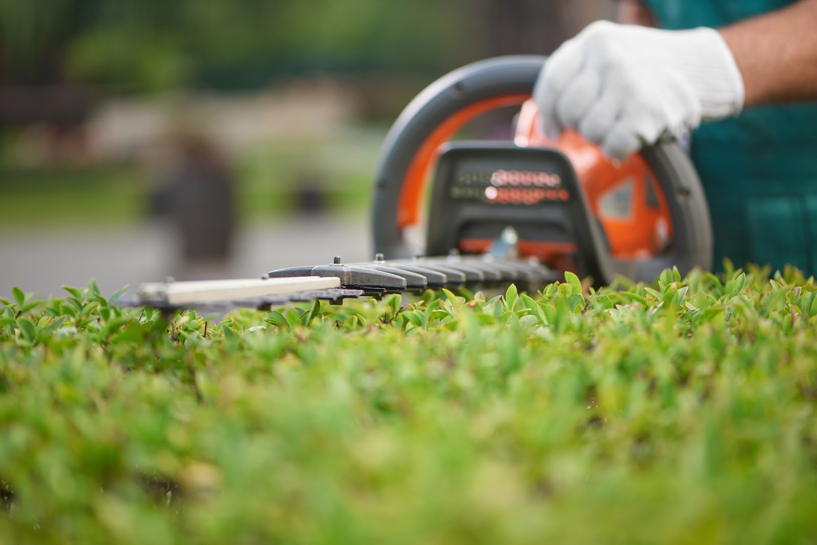 Harry's Landscaping & Fences, LLC work