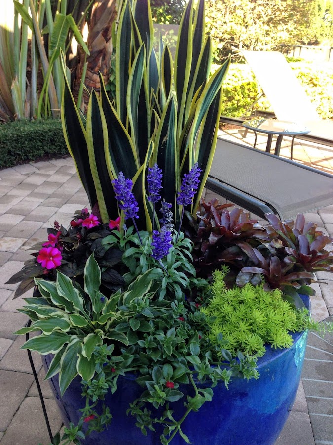 Jon the Gardener Landscape Design work