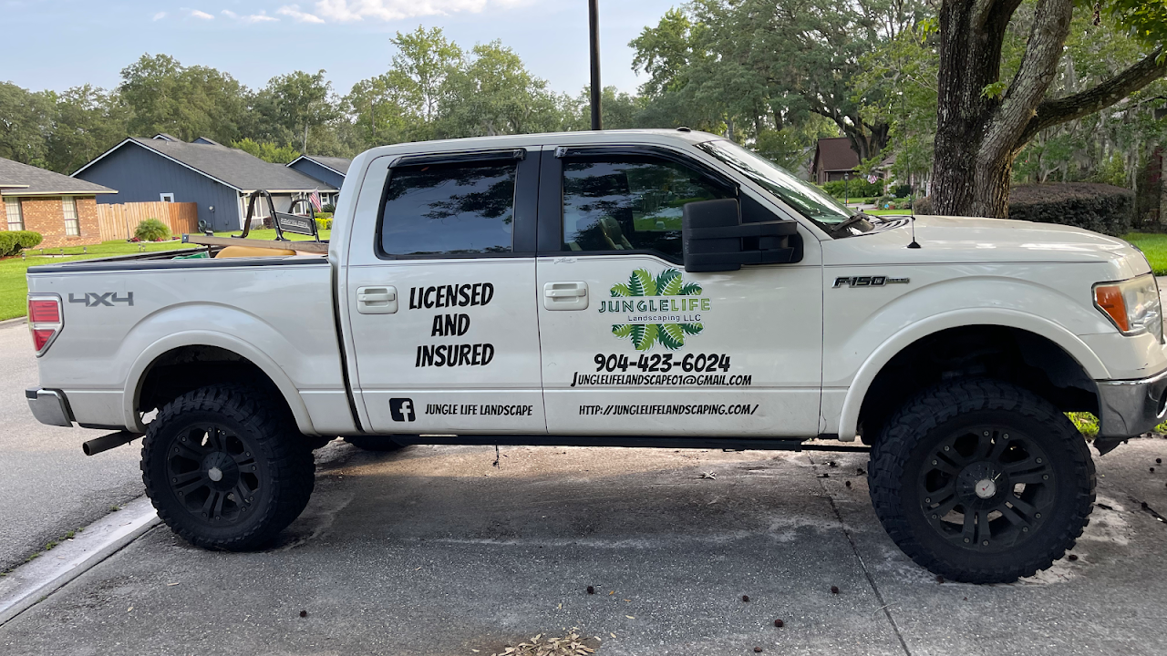 Jungle Life Landscape LLC work