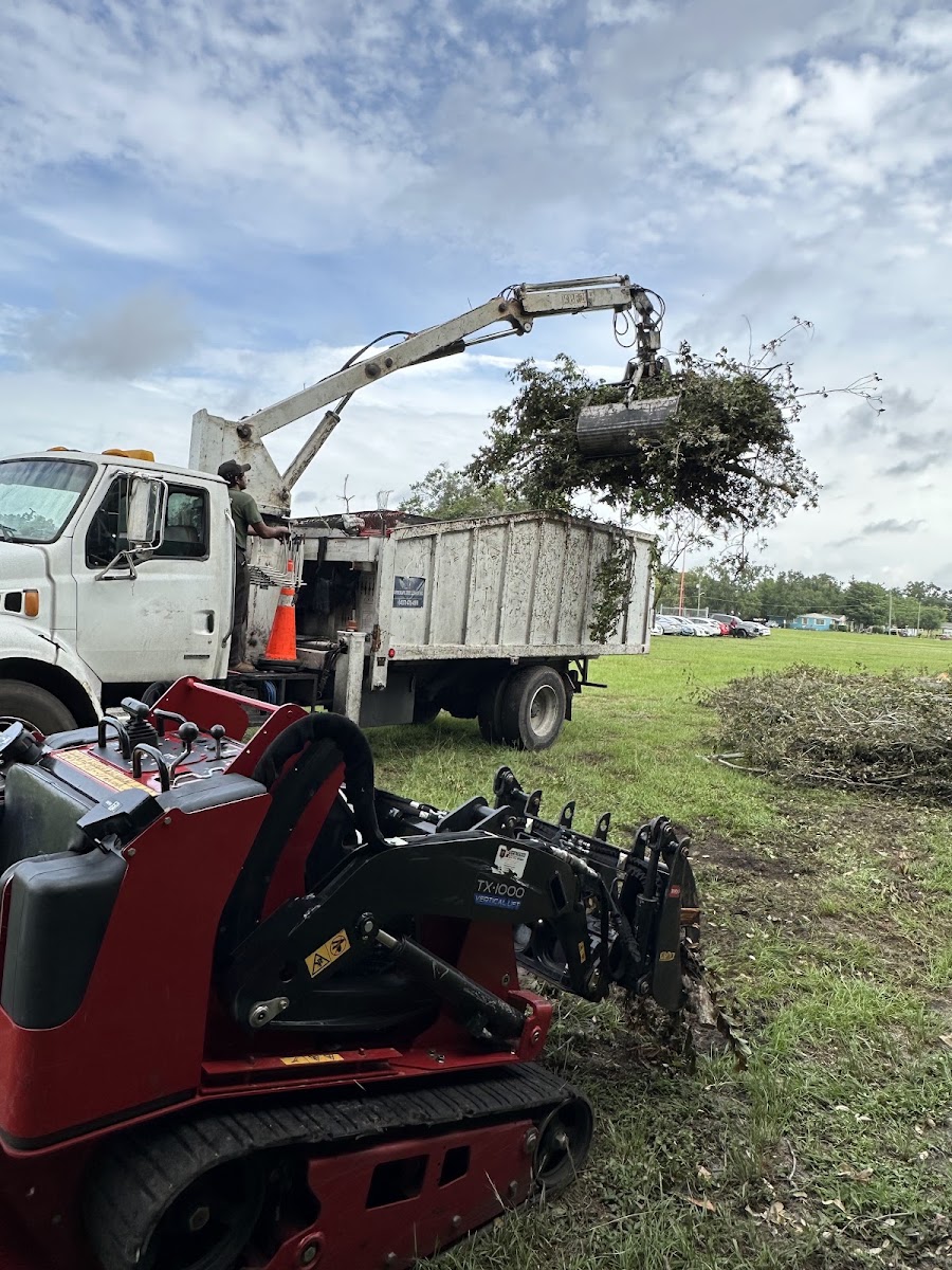 JUNGLE TREE & DEBRIS Outdoor Services work