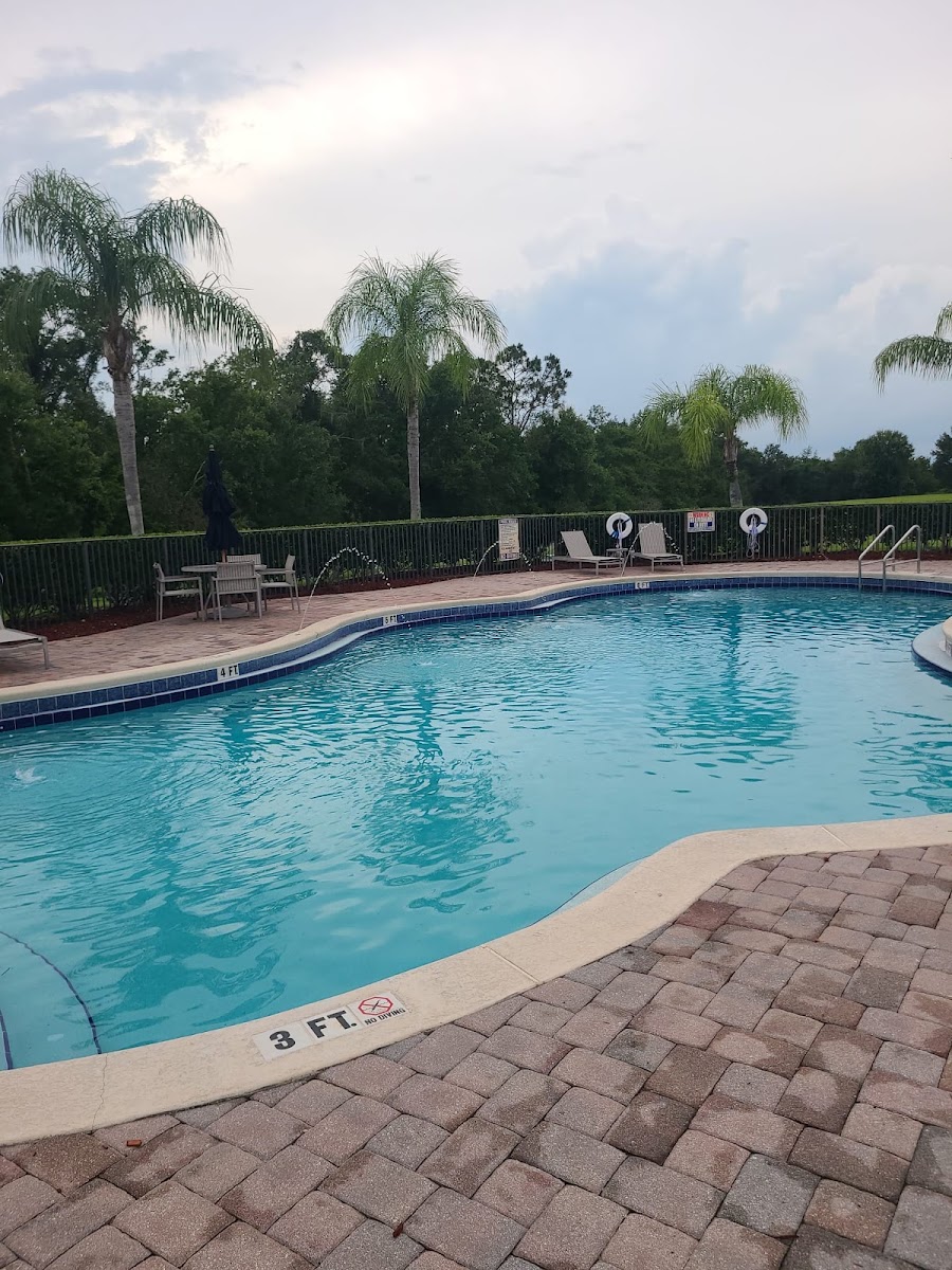 Lobo's Pool Service work