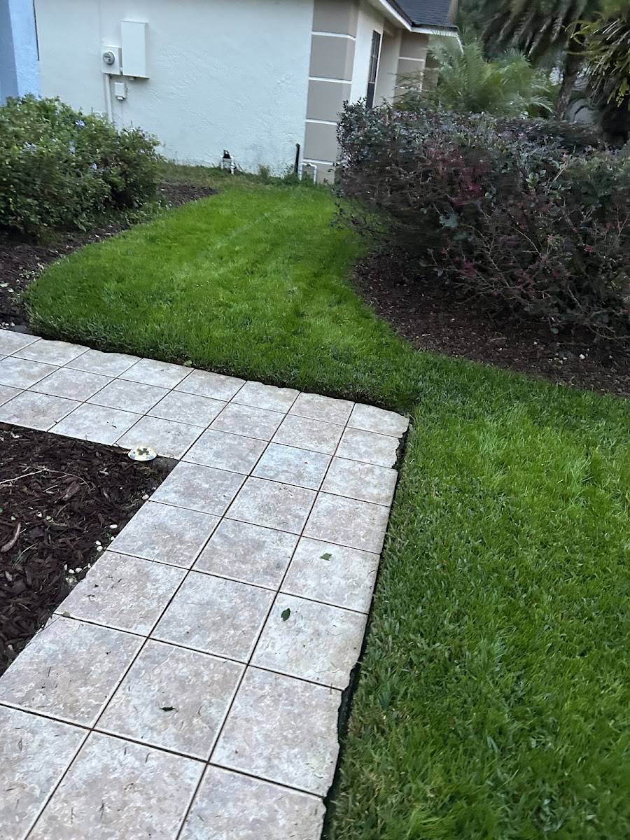 Passion Lawn and Landscaping llc work