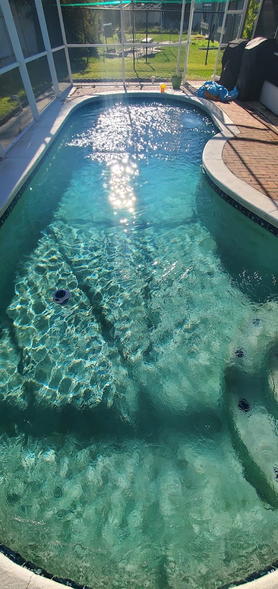 Poseidon swimming pool care llc work