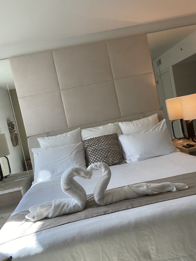 Rent-A-Maiid Cleaning Services (Miami) work