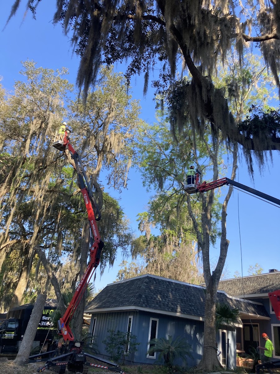 Sanford's Tree Service Inc. work