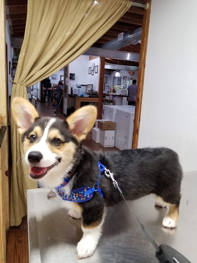 Silver Bluff Animal Clinic work