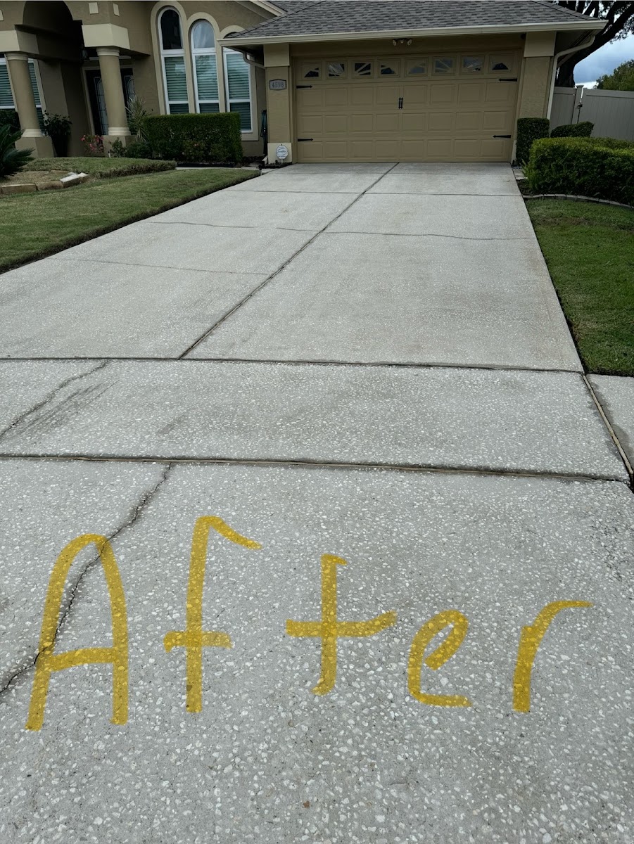 Spotless EverClean work