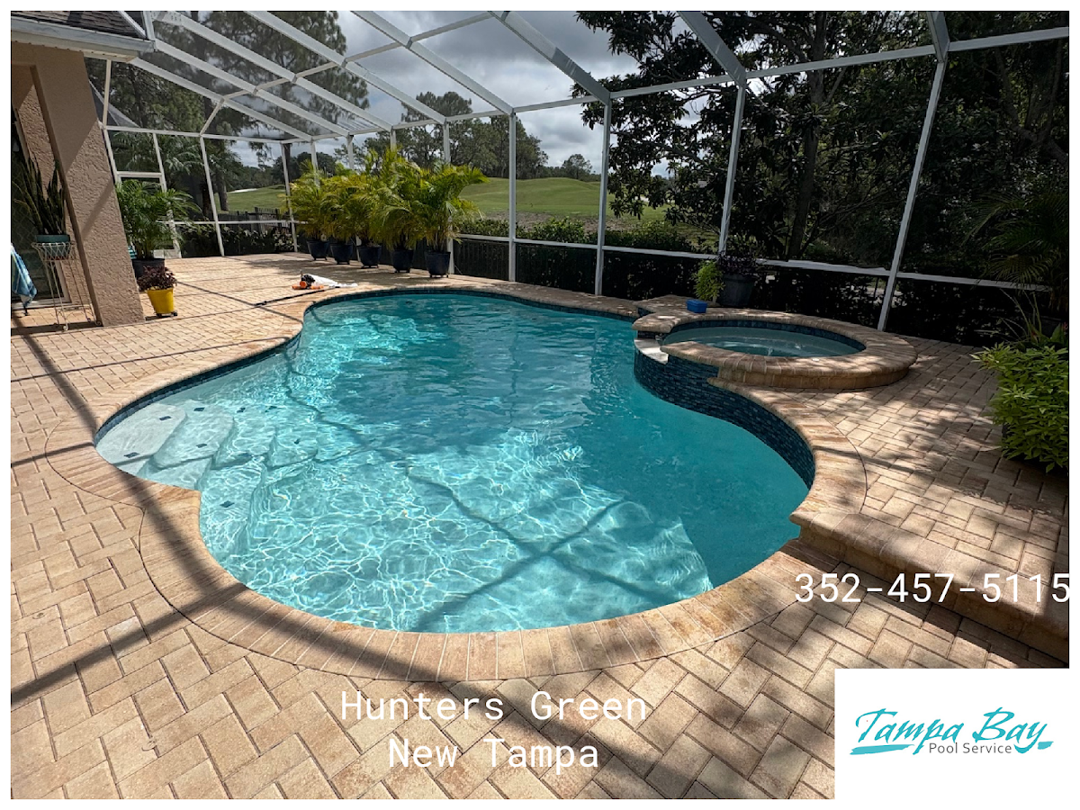 Tampa Bay Pool Service work