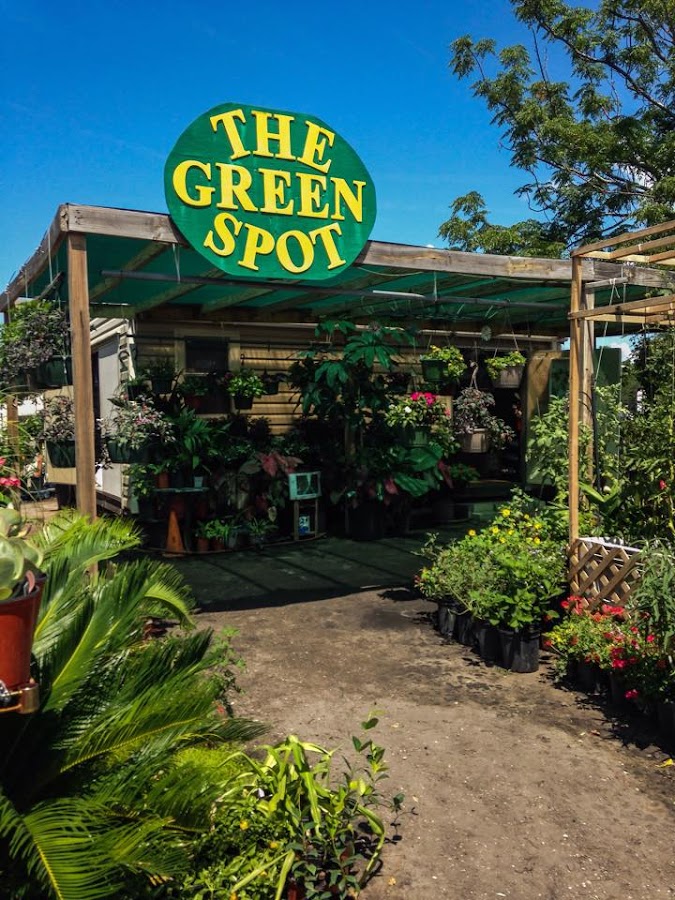 The Green Spot Jax work