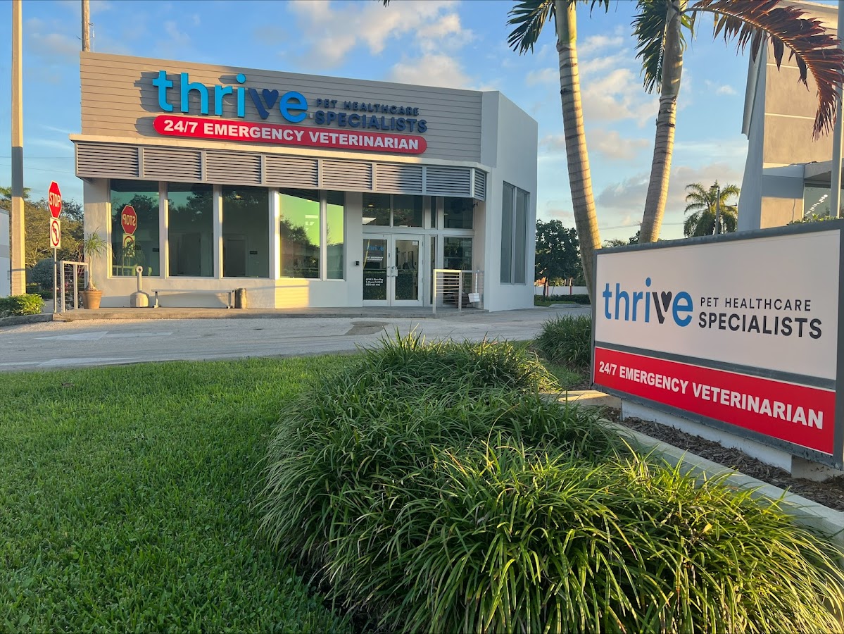 Thrive Pet Healthcare Specialists Miami work