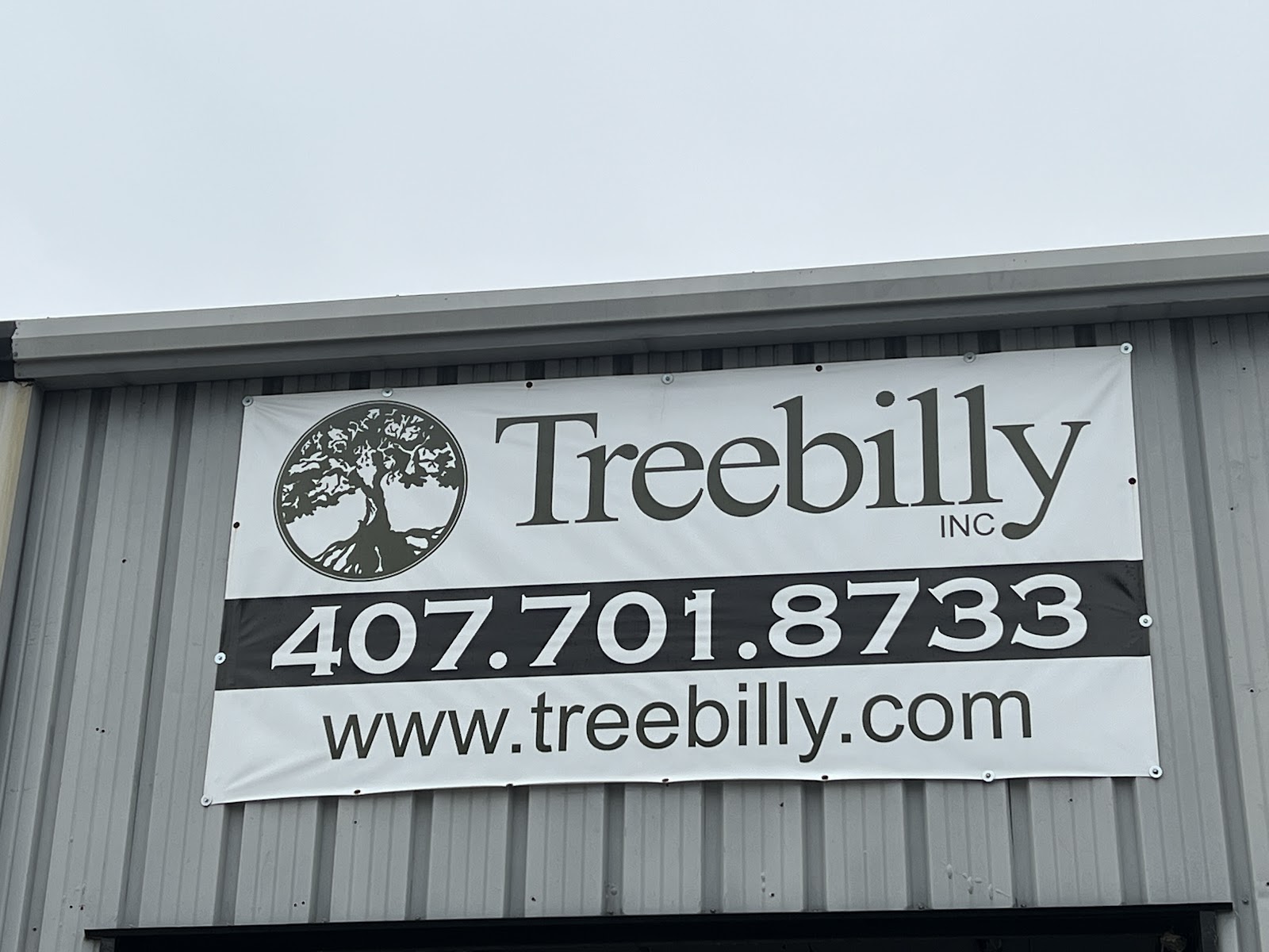 Treebilly work