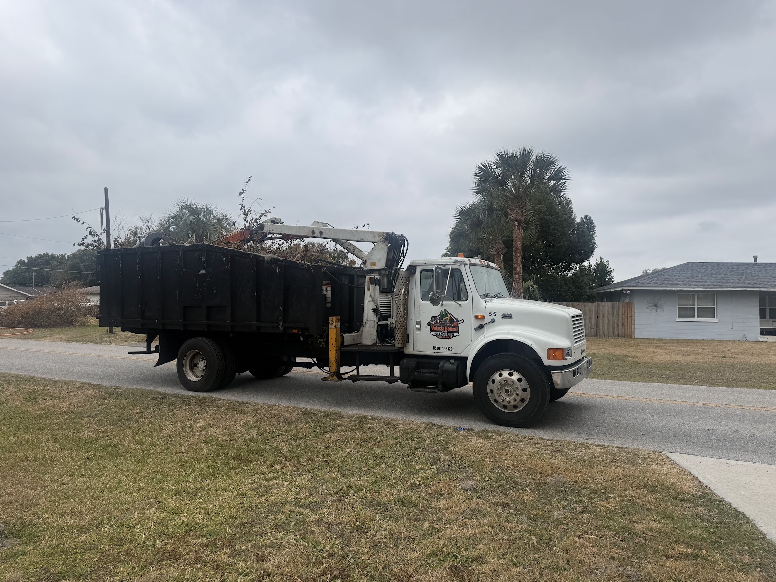 Volusia Bobcat & Tree Service work