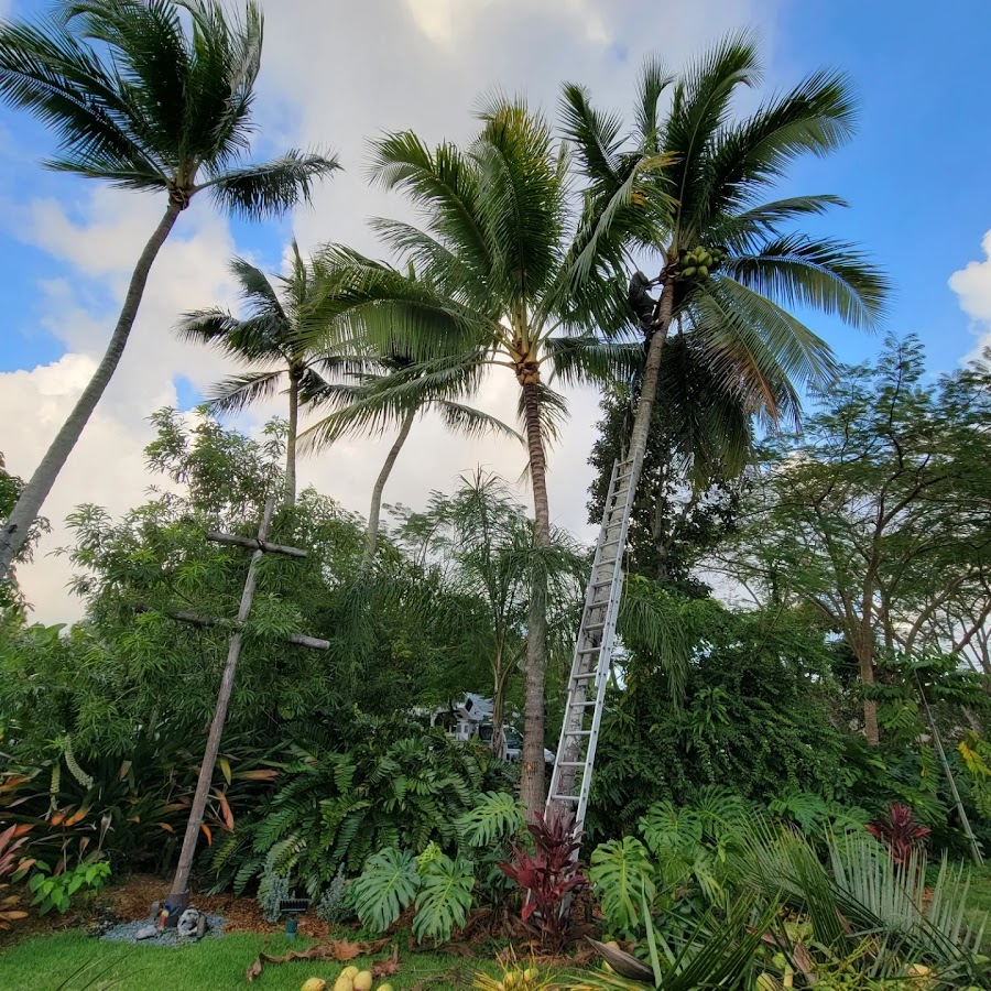 Walter’s Landscape & Maintenance work
